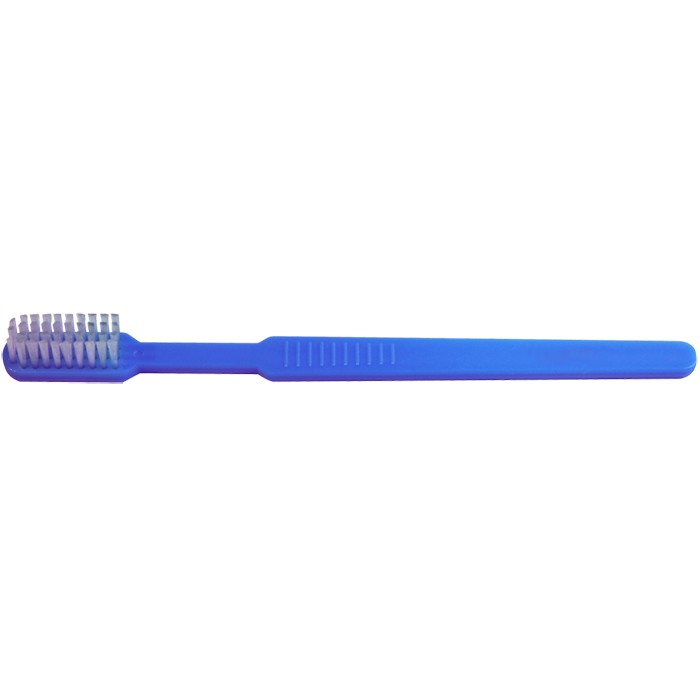 Pre-Pasted Disposable Toothbrush - Mint product image