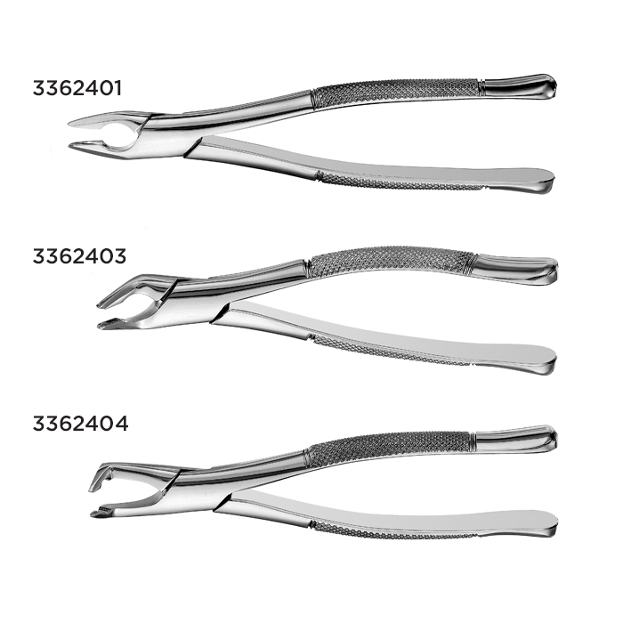 Extracting Forceps Apical Lower Molars Ea thumbnail 6