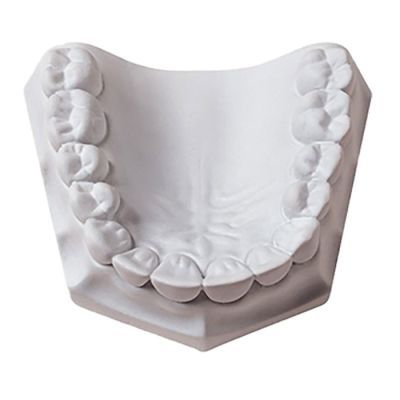 Orthodontic Plaster