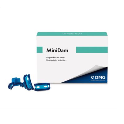 MiniDam