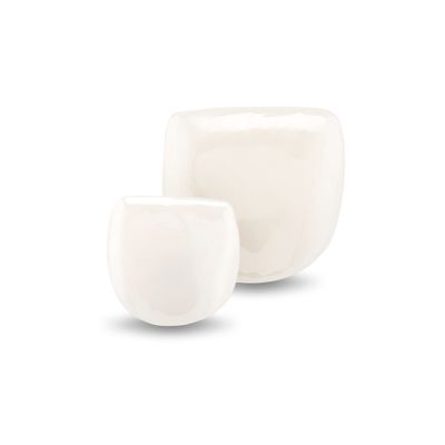 Pediatric Zirconia Crowns